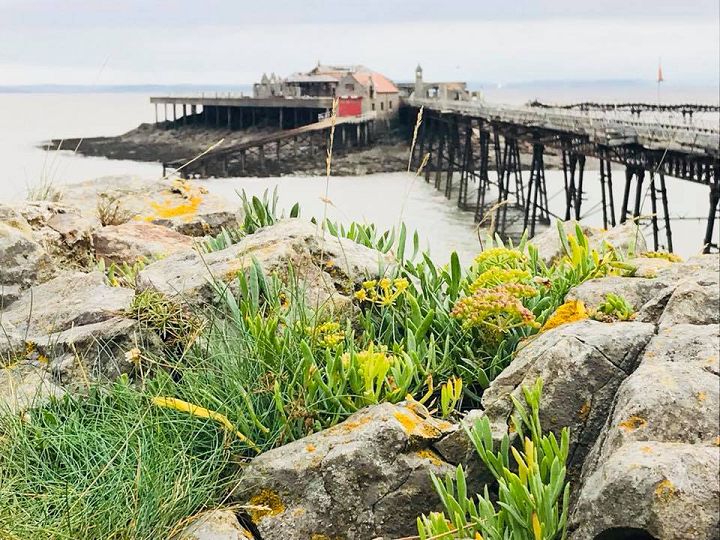 Photo Competition Entry #015