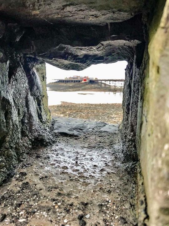 Photo Competition Entry #016