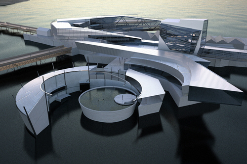 Blue Skies Photo #27