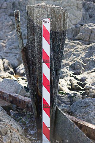 The North Jetty Pockets #8