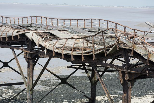 The North Jetty 2016 #5