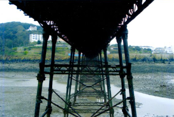 Birnbeck Repair Image #022