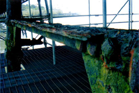 Birnbeck Repair Image #004