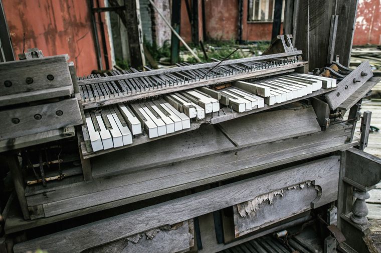 Birnbeck Gallery Image #06