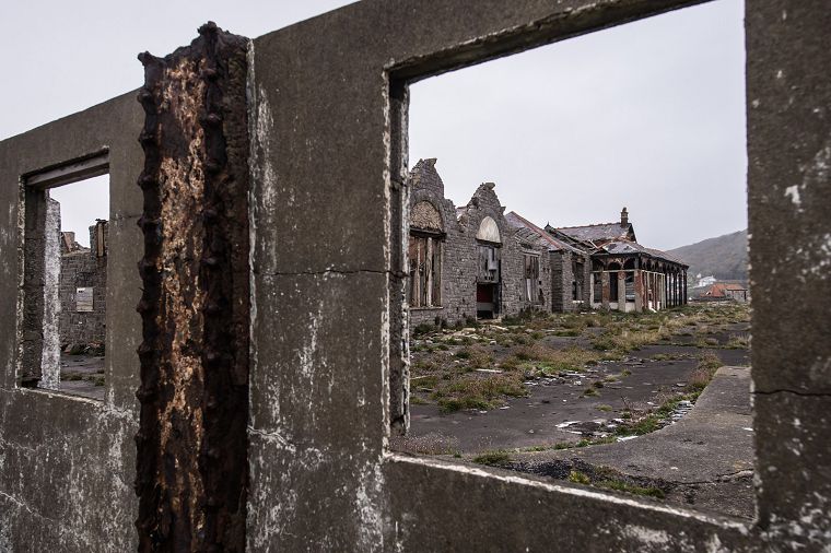 Birnbeck Gallery Image #26