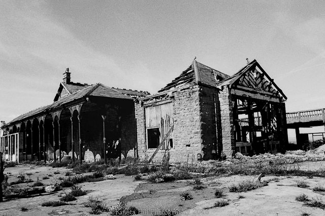 Kineta Hill Birnbeck Gallery Image #07