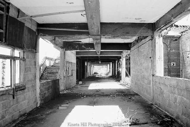 Kineta Hill Birnbeck Gallery Image #16