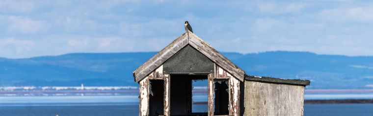 Martin Slade and Mark Gray Gallery Header Image