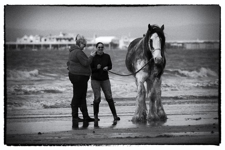 Birnbeck Gallery Image #07