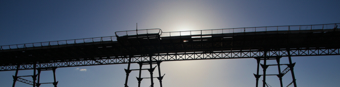 Birnbeck Team Page Image